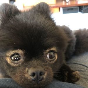 Meet your Posher, Jun